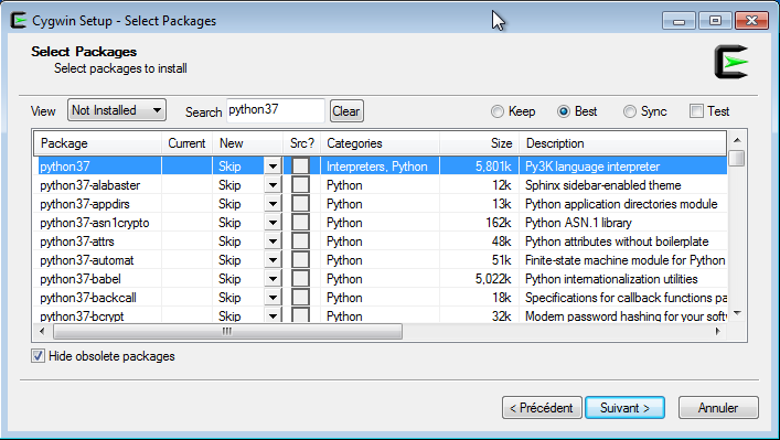 Paquet Python37 sous Cygwin